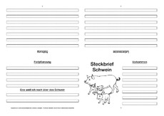 Schwein-Faltbuch-vierseitig-4.pdf